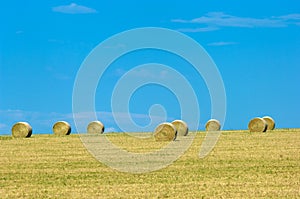 Montana landscape