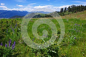 Montana Mountains