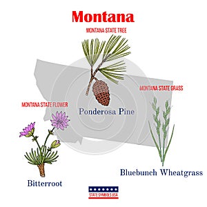 Montana. Set of USA official state symbols photo