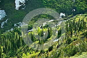 Montana Wilderness Landscape