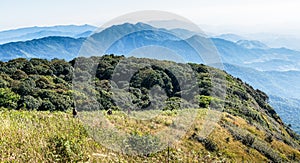 Montane forest at Kew Mae Pan Nature trail