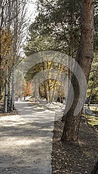 Montanejos, CastellÃ³n, Spain, path on the bank of the Mijares river, autumn colors