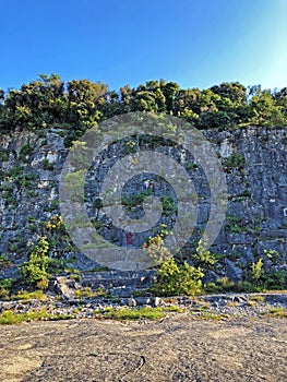 The Montauro quarry in the Zlatni rt forest park, Rovinj Rovigno - Istria, Croatia / Kamenolom Montauro u park Å¡umi Zlatni rt