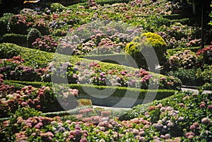 Montclair Gardens, Montclair, NJ