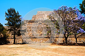 Monte Alban Ruins in Oaxaca, Mexico with trees