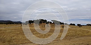 Monte Alentejano, Portugal