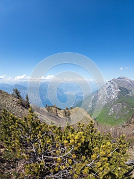 Monte Baldo mountain range in the Italian Alps, located in the provinces of Trento and Verona, Italy, Europe