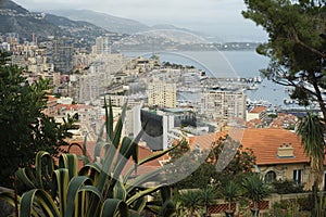 Monte Carlo