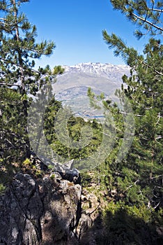 Monte Cinto peak seen from Cavallo Morto forest in Corsica