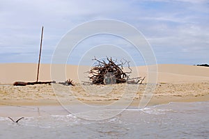 Monte de lenha na pria a ser usado como sinalizador para os barcos pesqueiros photo