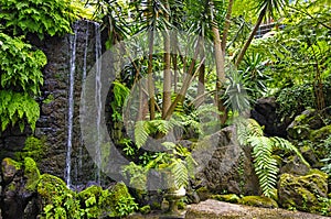 Monte garden, Funchal, Madeira island, Portugal