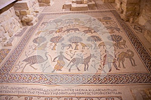 Monte nebo mountain sacred to jews Jordan