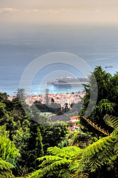 Monte Palace Tropical Gardenâ€“ Funchal, M
