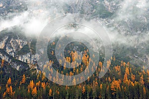 Monte Piana or Monte Piano, with beautiful autumn colors seen from the shore of Lake Landro.