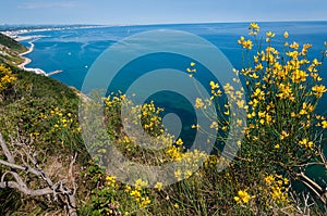 Monte San Bartolo beautiful panorama