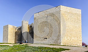 Montealegre de Campos castle Spain photo