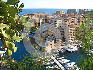 Montecarlo harbour