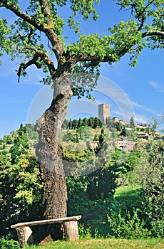 Montecatini near Volterra ,Tuscany,Italy