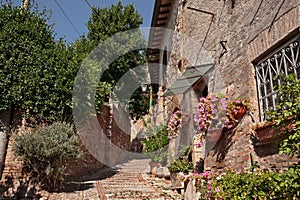 Montefalco, Perugia, Umbria, Italy: ancient alley with flowers and plants
