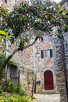 Montefioralle (Chianti, Tuscany) photo