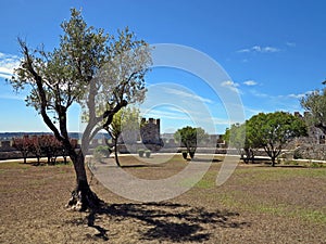 Montemor-o-Velho Castle