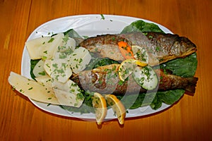 Montenegrin fish spaciality photo