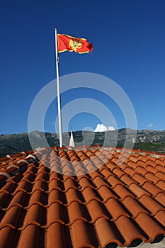 Montenegro Flag