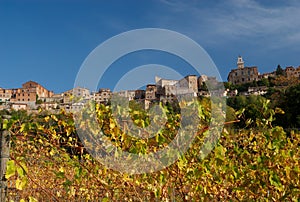 Montepulciano and Grape Vines