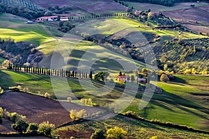 Montepulciano`s hills