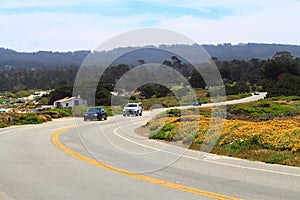 Monterey 17 Mile Drive