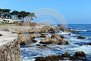 Monterey