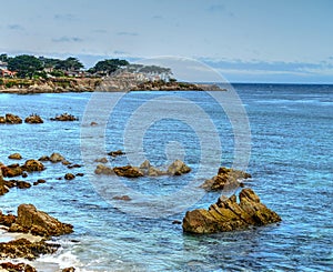 Monterey Bay Asilomar State Marine Reserve