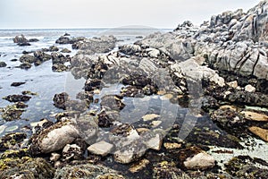 Monterey Bay Coast