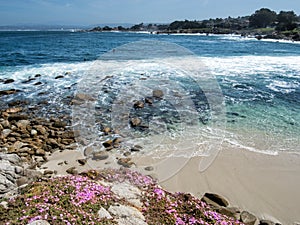 Monterey Bay surfers