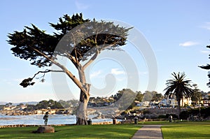 Monterey California photo