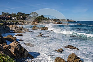 Monterey California shoreline landscape and birds