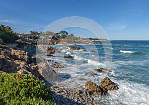 Monterey California shoreline landscape and birds