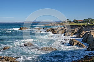 Monterey California shoreline landscape and birds