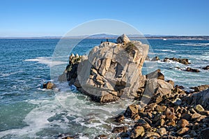 Monterey California shoreline landscape and birds