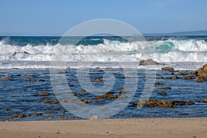 Monterey California shoreline landscape and birds