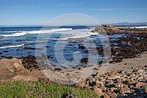 Monterey California shoreline landscape and birds