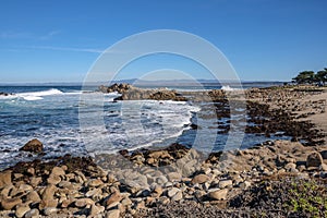 Monterey California shoreline landscape and birds