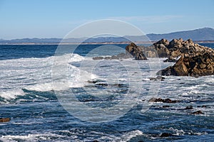 Monterey California shoreline landscape and birds