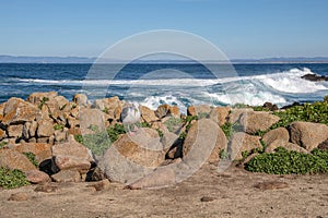 Monterey California shoreline landscape and birds