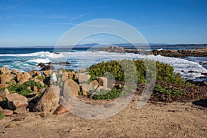 Monterey California shoreline landscape and birds