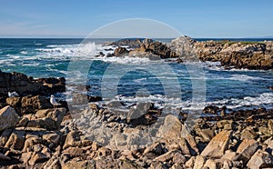 Monterey California shoreline landscape and birds