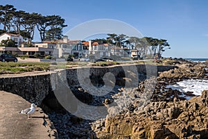 Monterey California shoreline landscape and houses