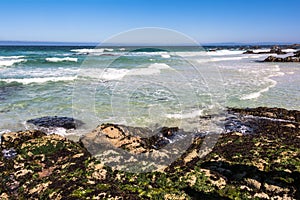 Monterey coast, California