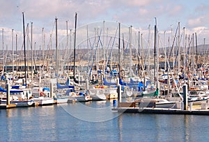 Monterey marina