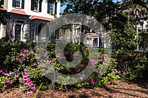 Monterey Square with Beautiful Flowers and Old Homes in the Background in the Historic District of Savannah Georgia